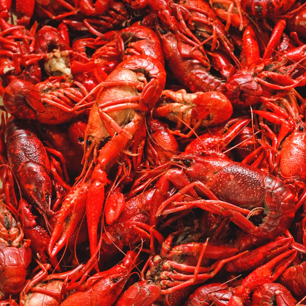 Captain Sid's Seafood business photo