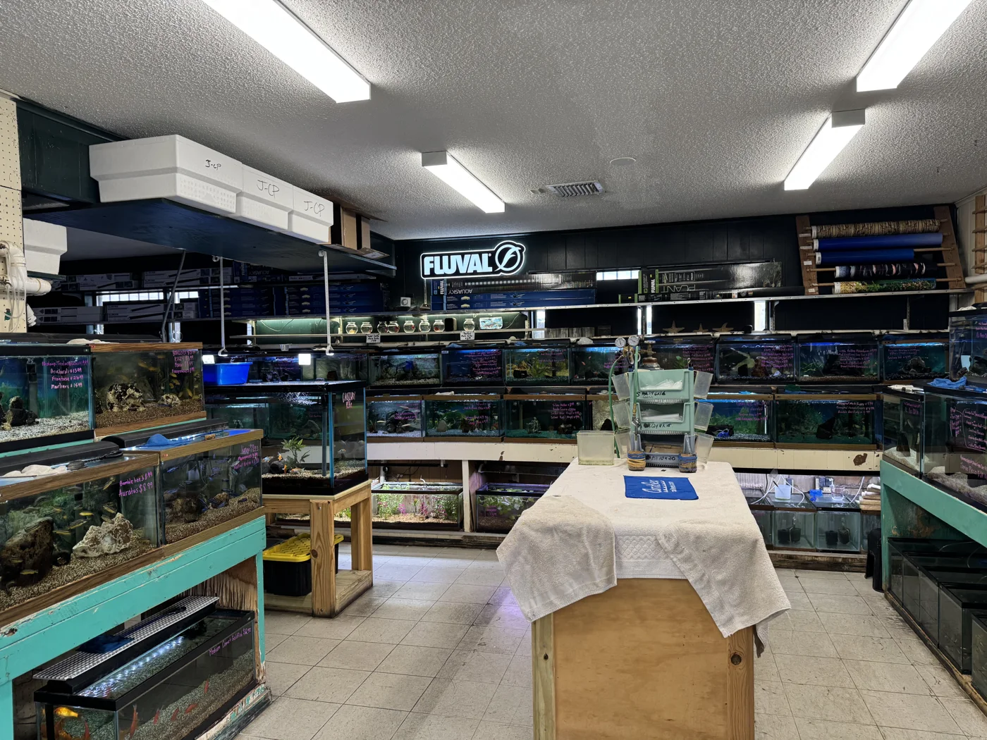 Causeway Pets, business photo 4