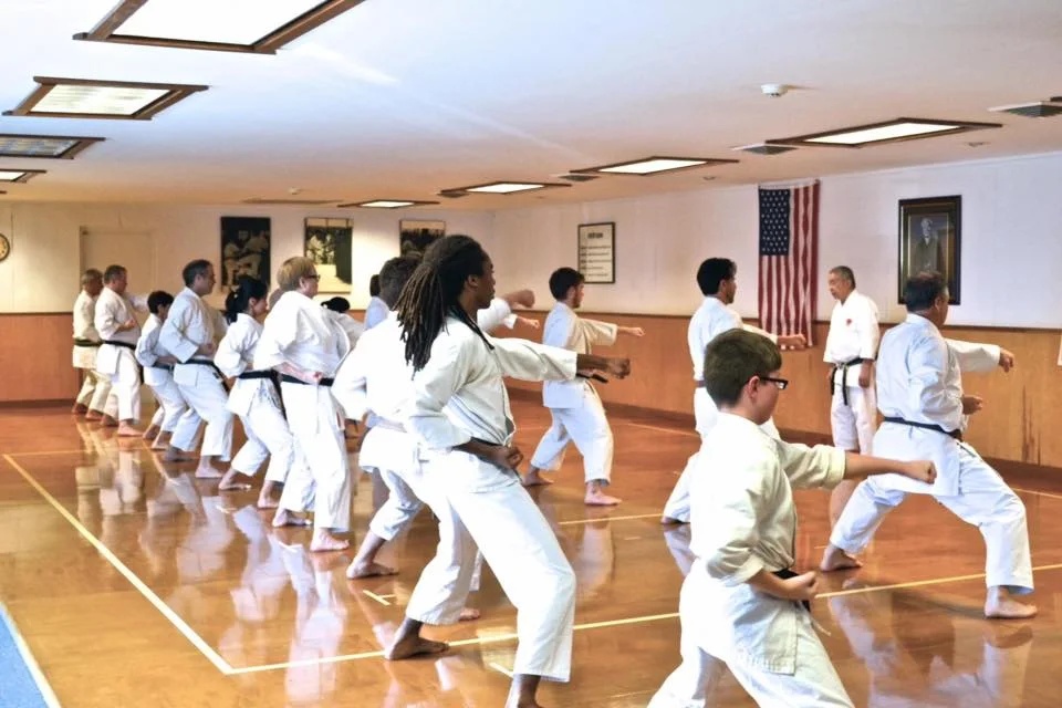 Louisiana Karate Association business photo