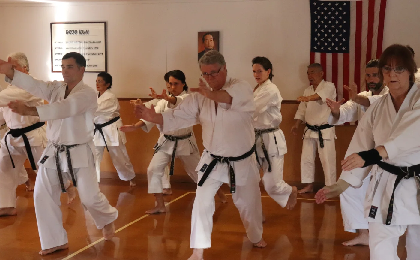 Louisiana Karate Association, business photo 3