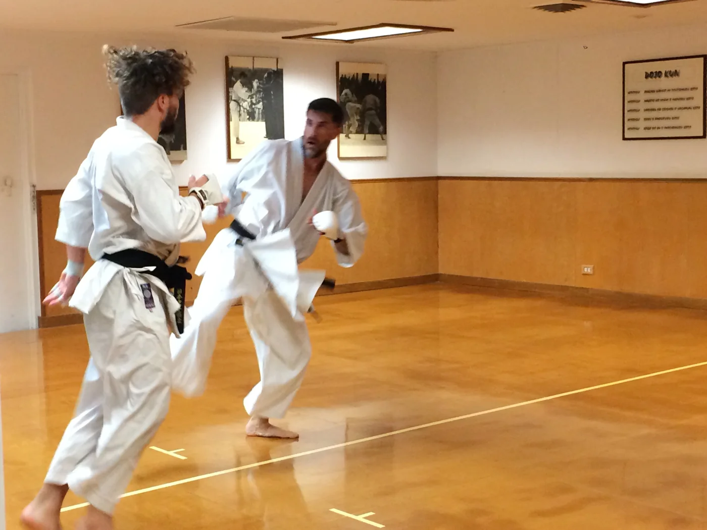 Louisiana Karate Association, business photo 2